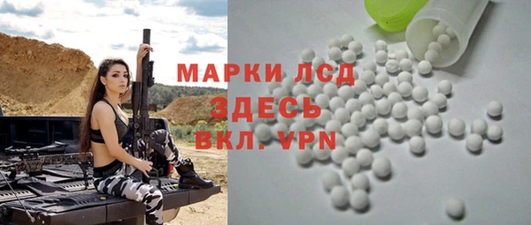 гашик Горняк