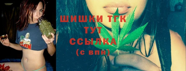сатива Армянск