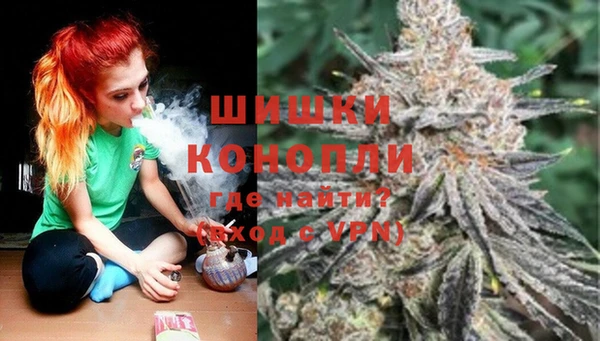 ПСИЛОЦИБИНОВЫЕ ГРИБЫ Арсеньев