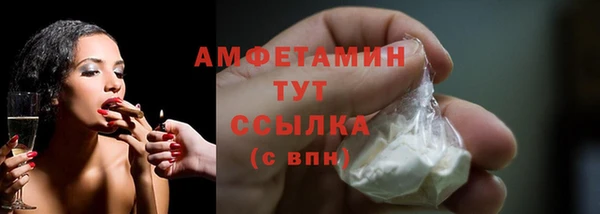 ПСИЛОЦИБИНОВЫЕ ГРИБЫ Арсеньев