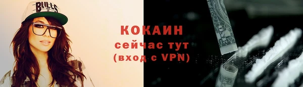 сатива Армянск